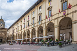 arezzo